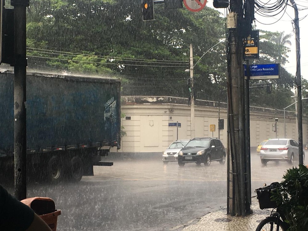 Chuvas provocam alagamentos e derrubam árvores no Rio