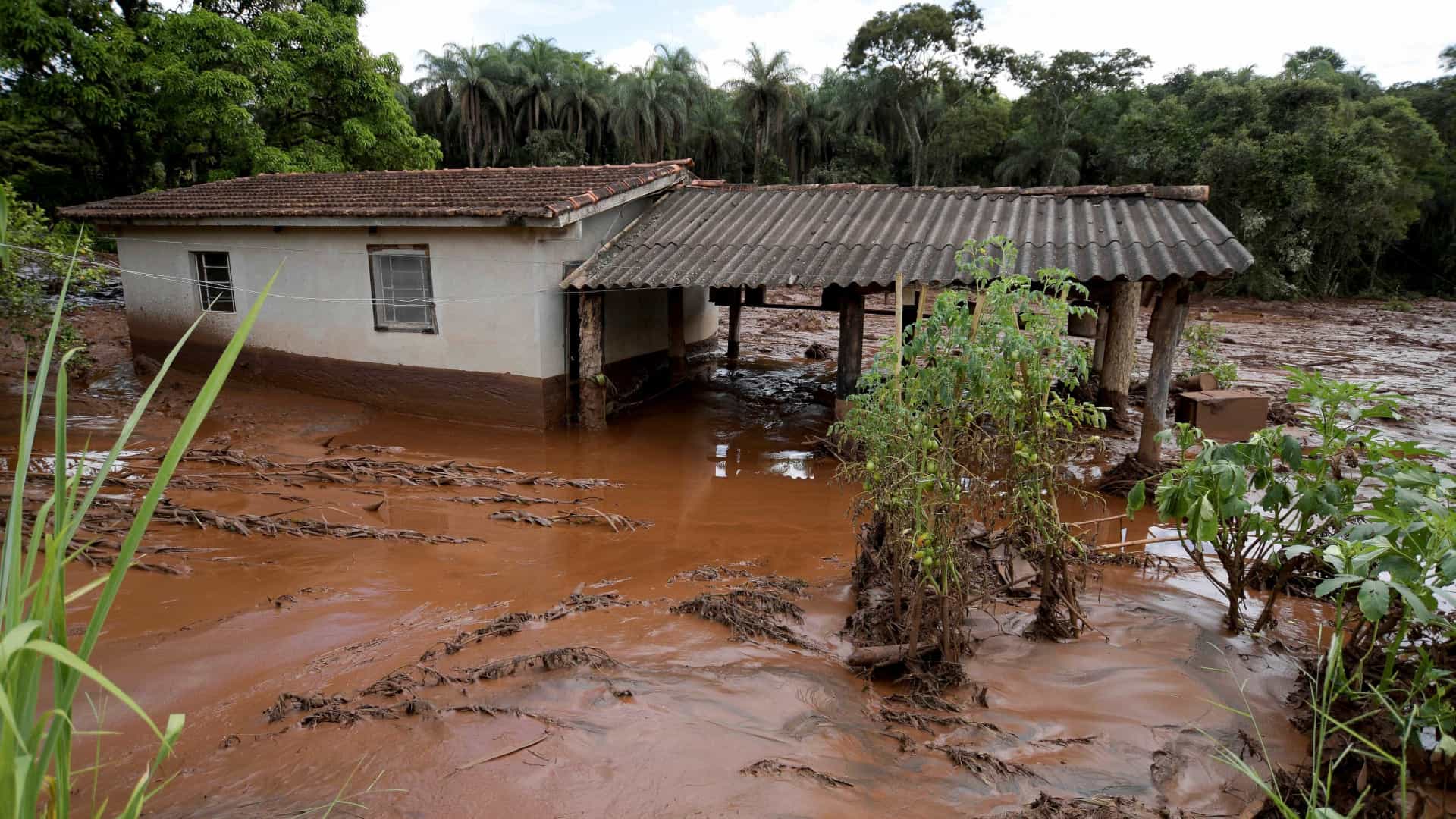 Vale diz não saber por que sirenes não funcionaram em Brumadinho