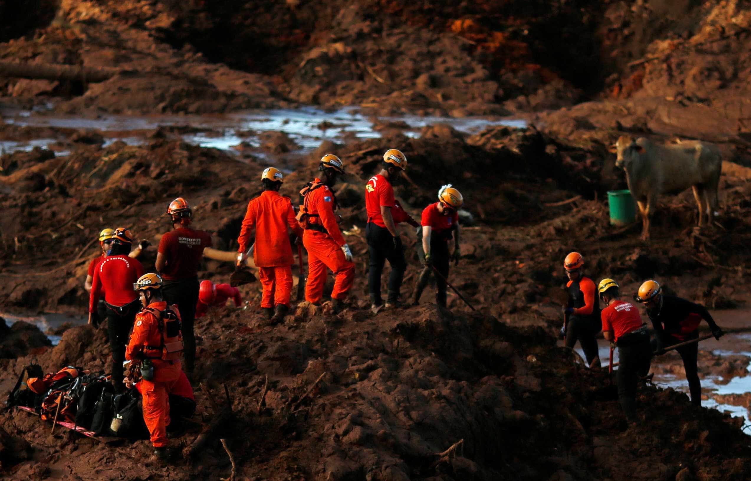 No 14º dia de buscas, nº de mortes vai a 157 em Brumadinho