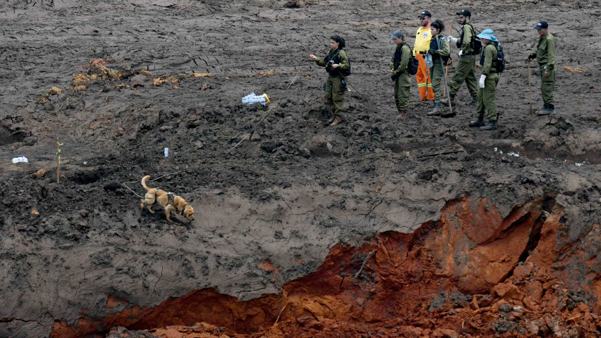 Número de mortes confirmadas em Brumadinho sobe para 110
