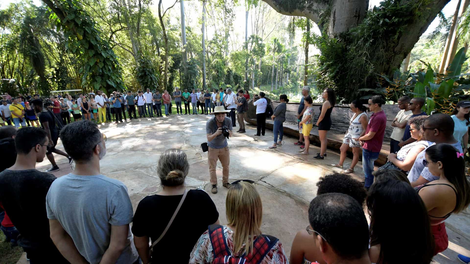 Inhotim reabre em Brumadinho com missão de reerguer cidade; veja fotos