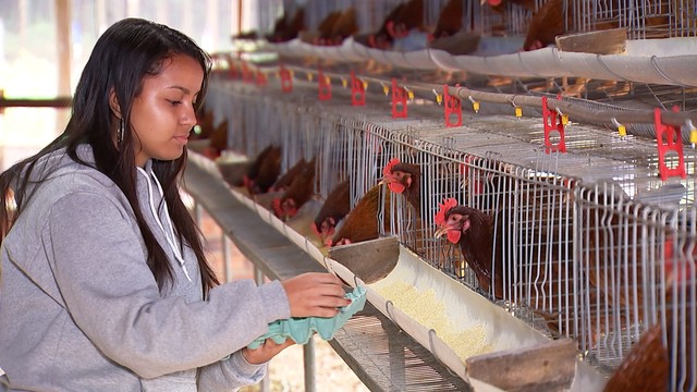 Abertas as inscrições para curso técnico gratuito em agronegócio com 160 vagas