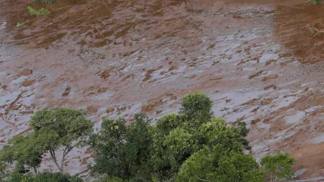 Após Carnaval, CPIs iniciam apuração sobre tragédia de Brumadinho