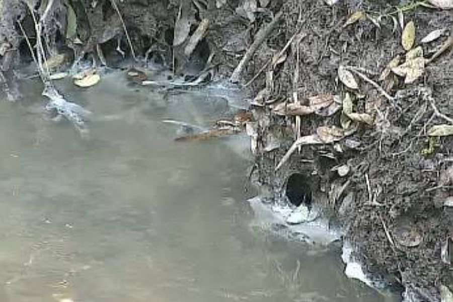 Seinfra identifica despejo irregular de esgoto no Parque das Timbaúbas em Juazeiro do Norte-CE