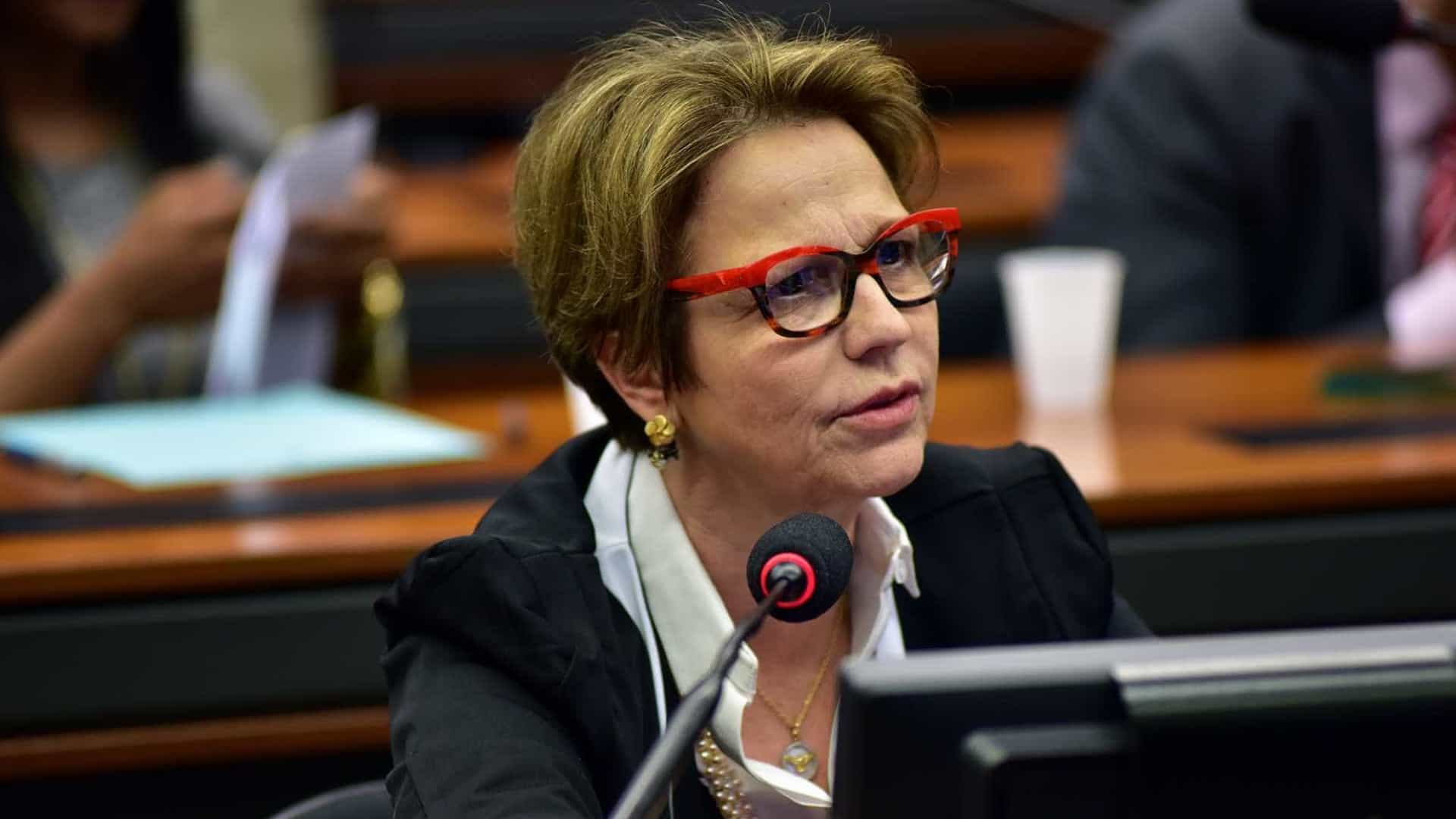 Ministra quer ir à China para ampliar exportação de carnes e soja