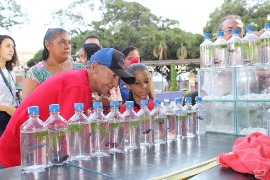 3ª edição da Feira de Peixes Ornamentais reúne famílias na Praça da Sé em Crato