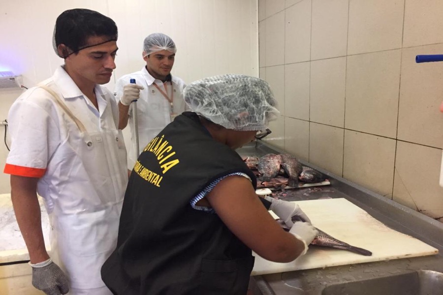 Vigilância Sanitária realiza “Operação Semana Santa” e intensifica vistorias na comercialização de peixes