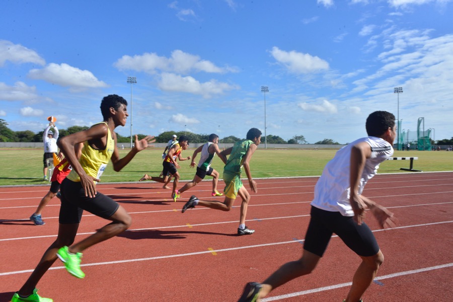 Projeto de lei eleva Ceará Atleta à categoria de política pública estadual; 4 mil vagas são ofertadas