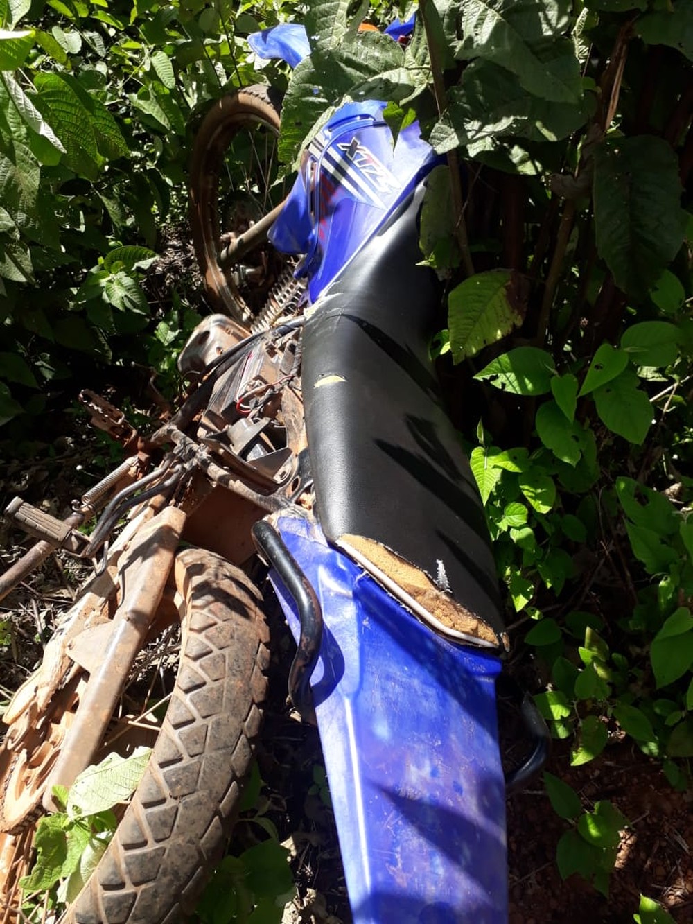 Adolescente grávida é assassinada a golpes de faca em estrada vicinal no Sul do Piauí