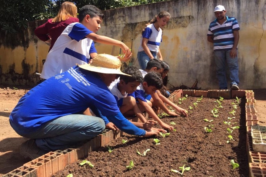 Projeto Hortas Comunitárias e Farmácias Vivas contempla alunos da escola Melvin Jones