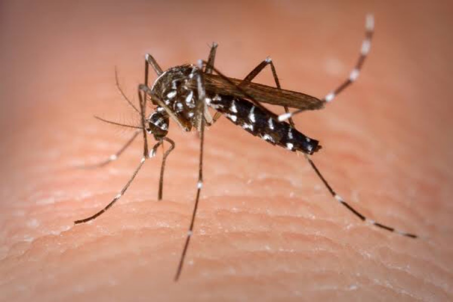 Juazeiro do Norte é primeira cidade do Nordeste a implantar Sistema de Monitoramento Integrado do Aedes aegypti