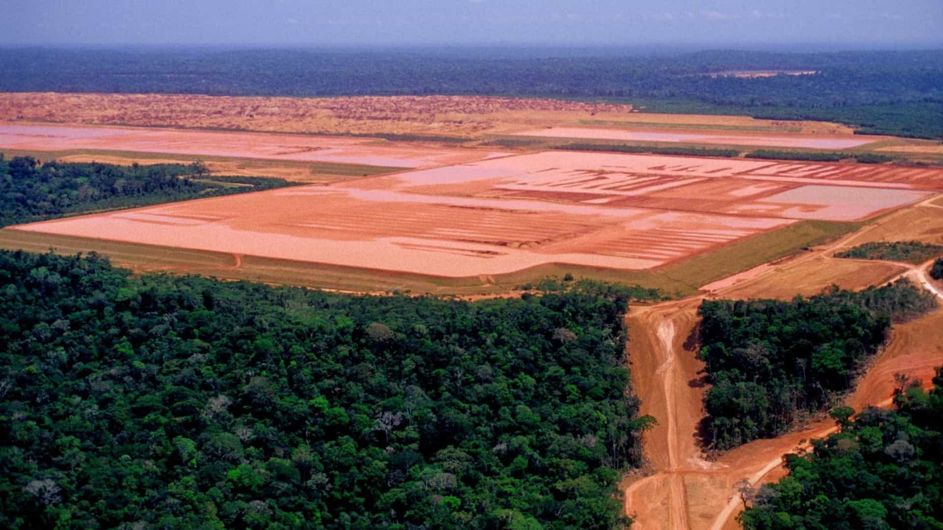 Governo federal quer reduzir 60 florestas e reservas