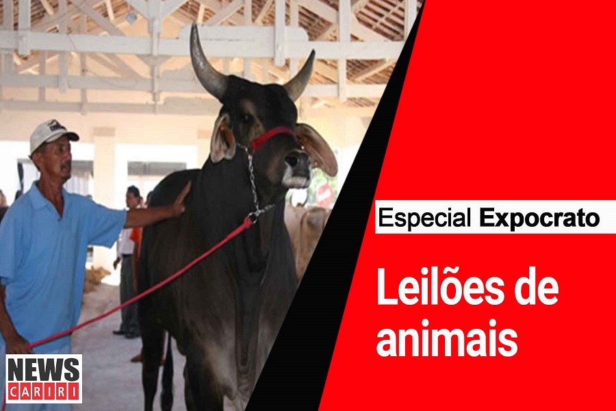 ESPECIAL EXPOCRATO: Expocrato 75 anos – Exposição de animais