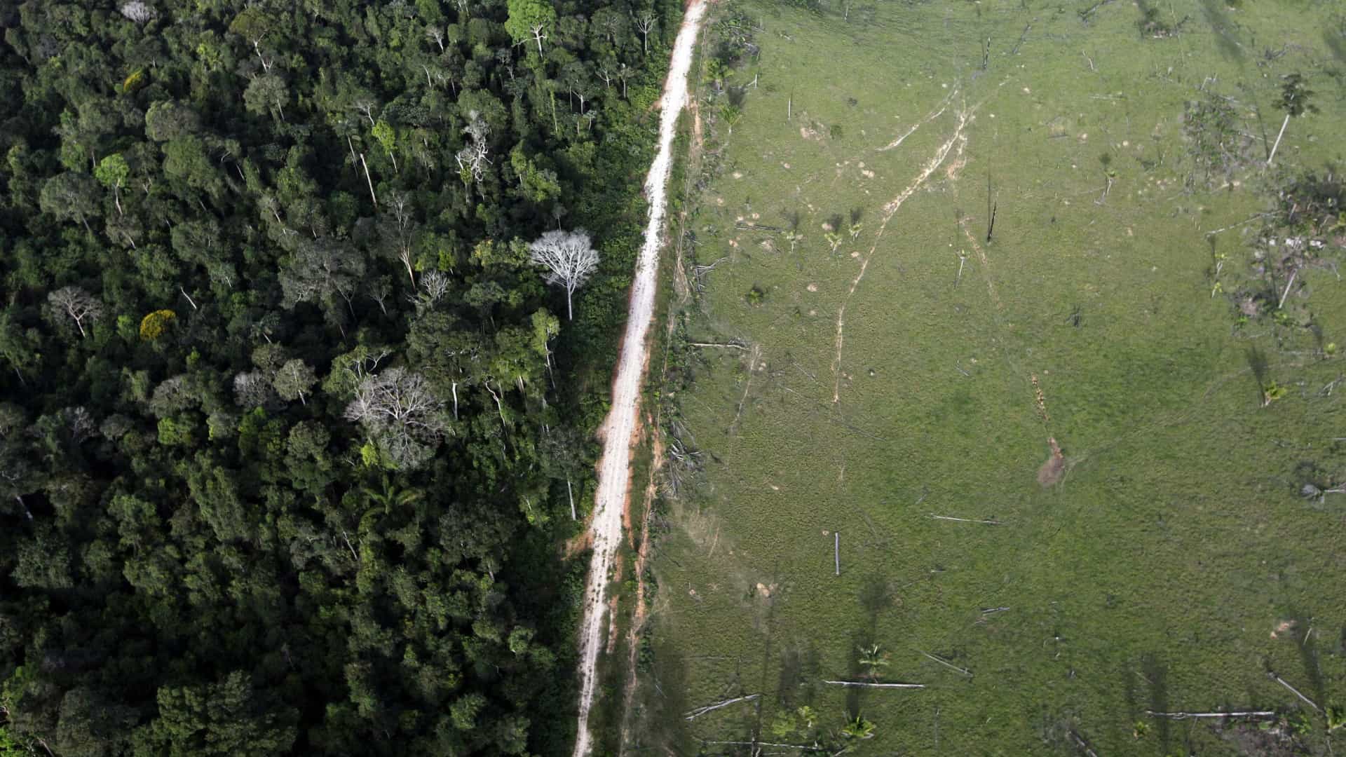 1/5 do efeito estufa vem de desmate e agropecuária