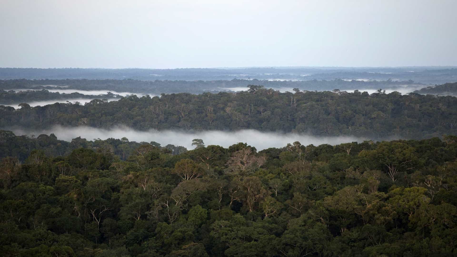 Governador do Amazonas afirma que não pode ficar sem recursos do Fundo