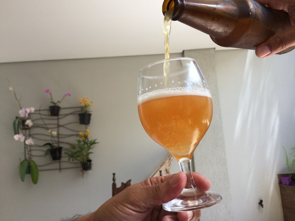 Harmonização de cervejas e pão chinês no vapor são temas de oficinas no Barreira Roxa, em Natal