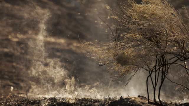 Incêndio na Chapada dos Veadeiros ameaça território quilombola