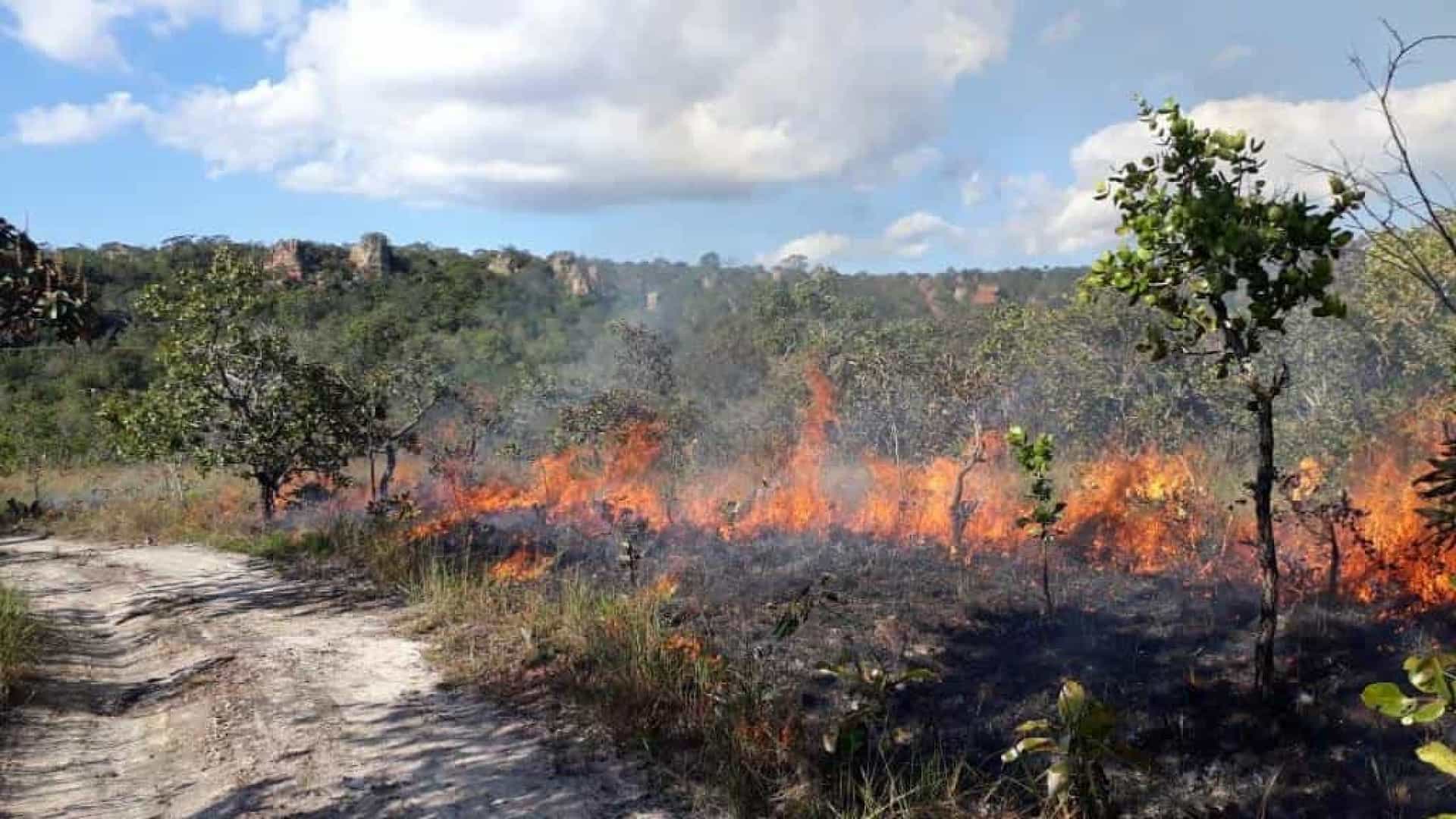 Fogo consome 13% do Parque da Chapada dos Guimarães