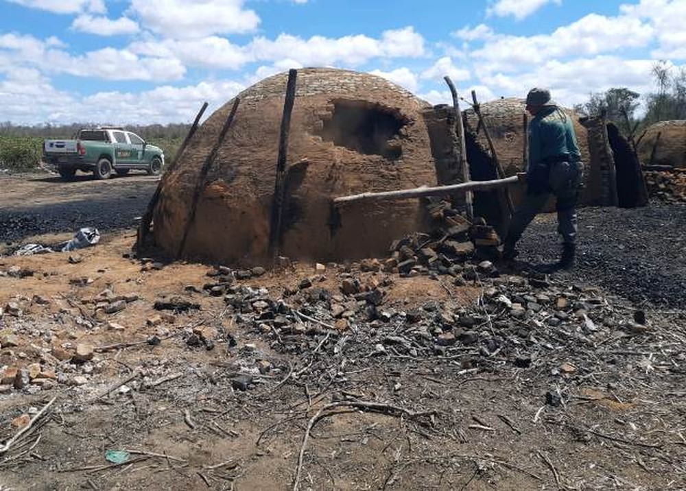 Operação do MP de combate ao desmatamento aplica R$ 371 mil em multas na BA e embarga 260 hectares de área destruída