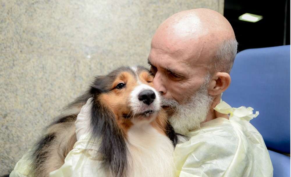 Após visita de cachorro, melhora de paciente com câncer surpreende médico