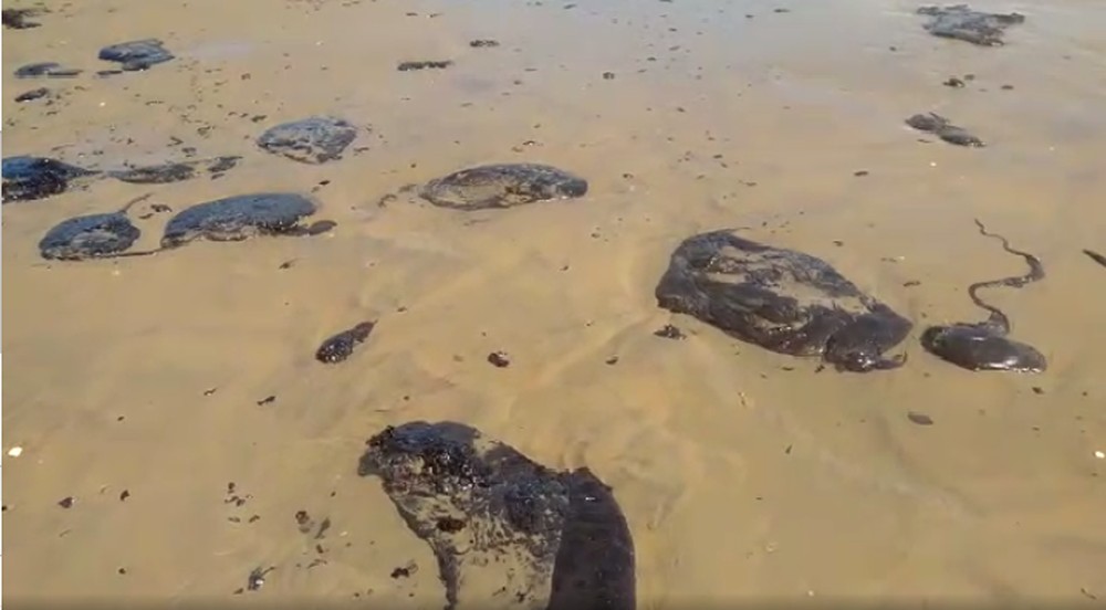 Substância escura e oleosa é encontrada por banhistas em praia no Ceará