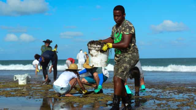 Mais de 525 toneladas de resíduos foram retiradas de praias com óleo