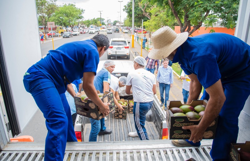 Carga de manga apreendida pela Polícia Civil é doada ao Mais Nutrição