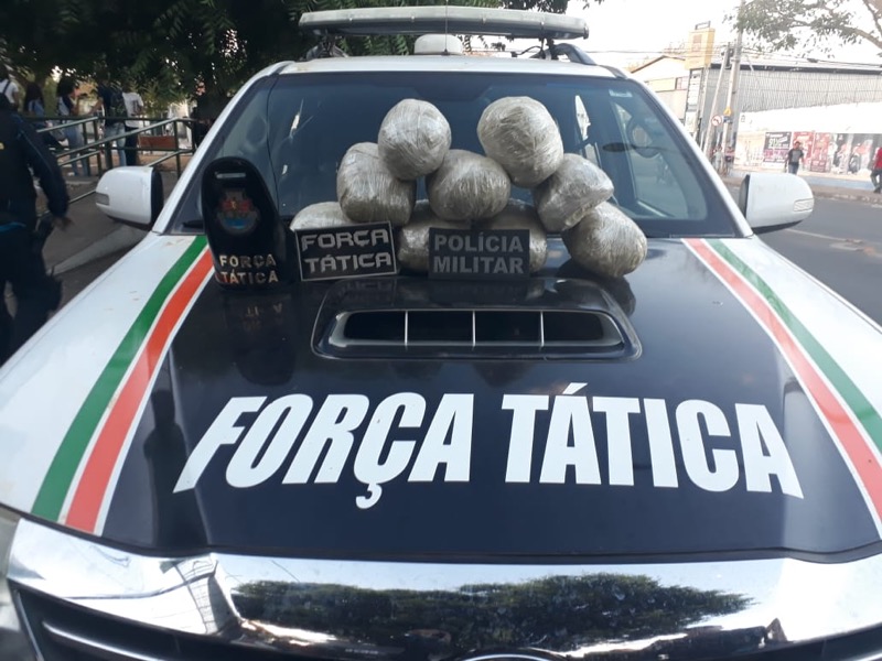 Operação Juazeiro Seguro: Polícia encontra maconha em quintal de casa em Juazeiro do Norte-CE
