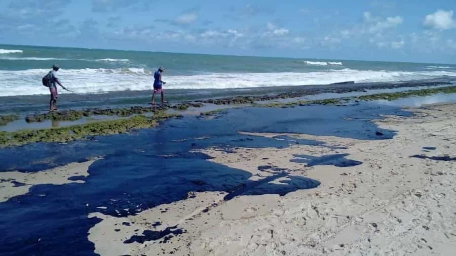Óleo já atingiu quatro áreas de mangues em Pernambuco