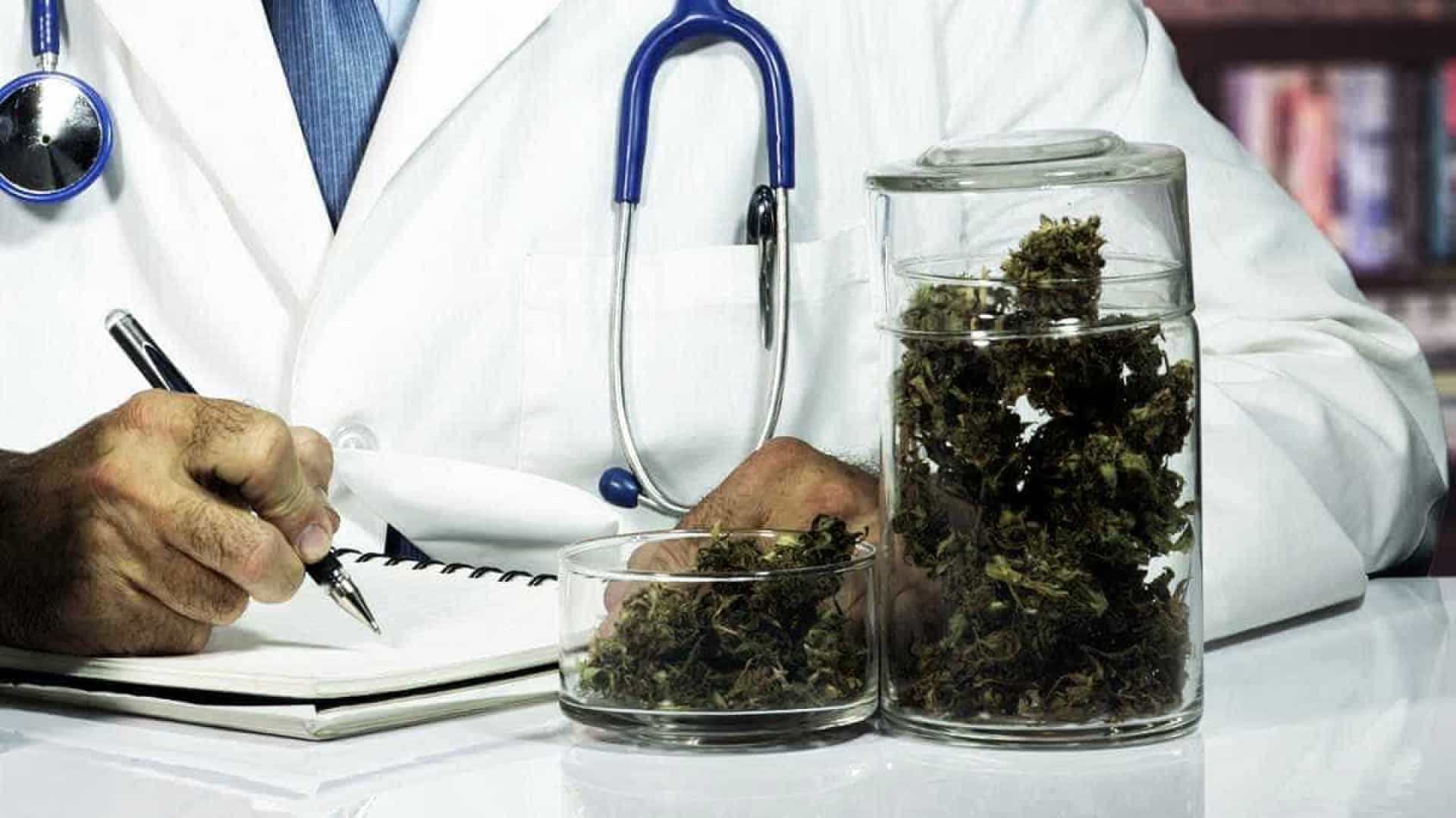Anvisa discute plantio de maconha para pesquisa e uso medicinal