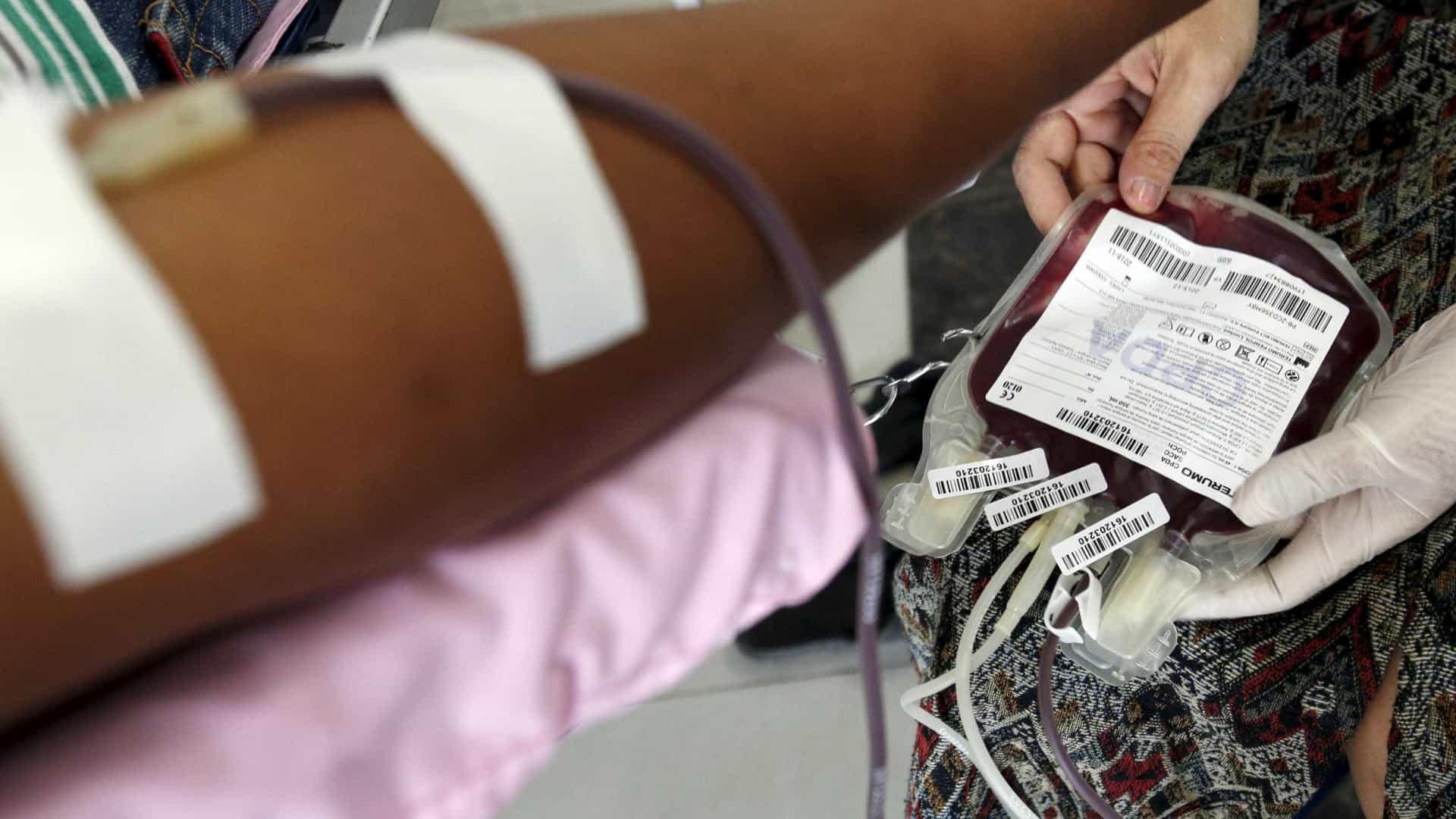 No Dia do Doador de Sangue, internautas lamentam restrição aos gay