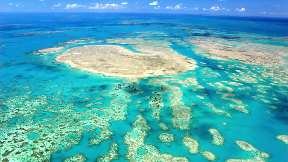 Após fechar por causa da chegada do óleo, Parque Nacional de Abrolhos é reaberto para visitação