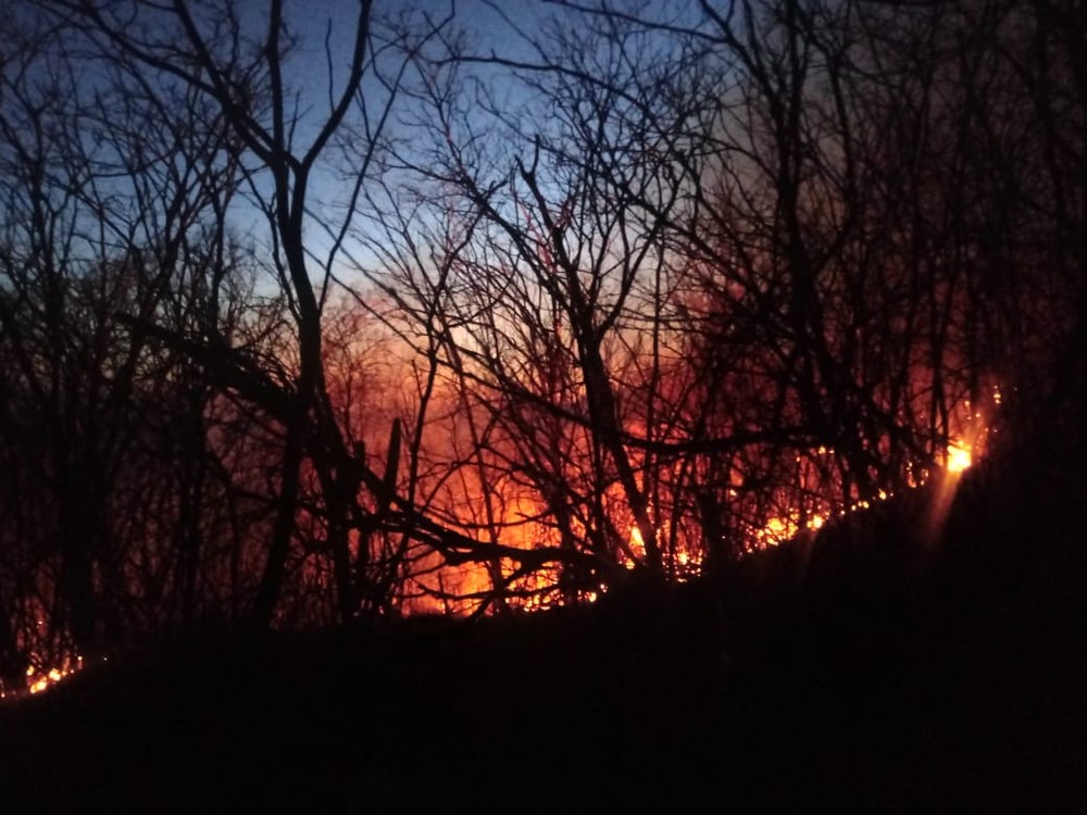 Bombeiros combatem incêndio há mais de 24 horas na região Oeste potiguar