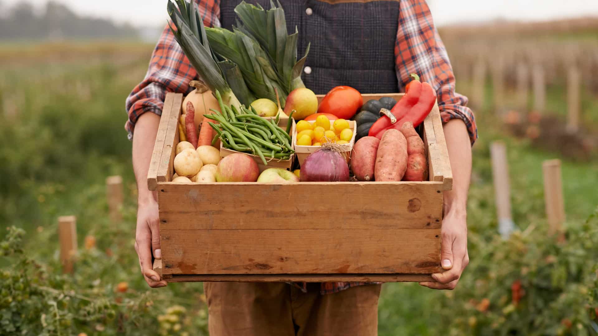 Teste da Anvisa encontra agrotóxicos acima do permitido em alimentos