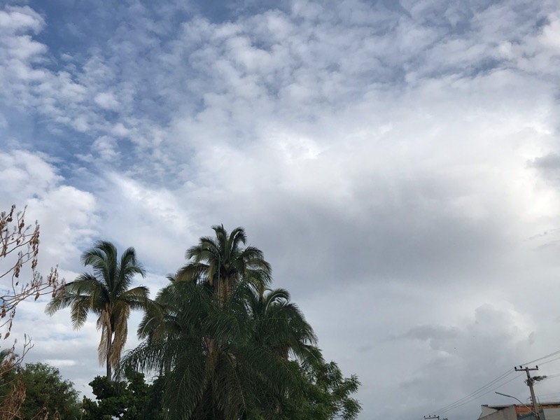 Cariri segue com possibilidade de chuva nesta quinta-feira (02)