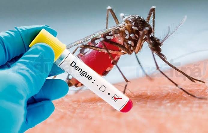 Risco de dengue aumenta com chuvas e população pode ajudar a prevenir