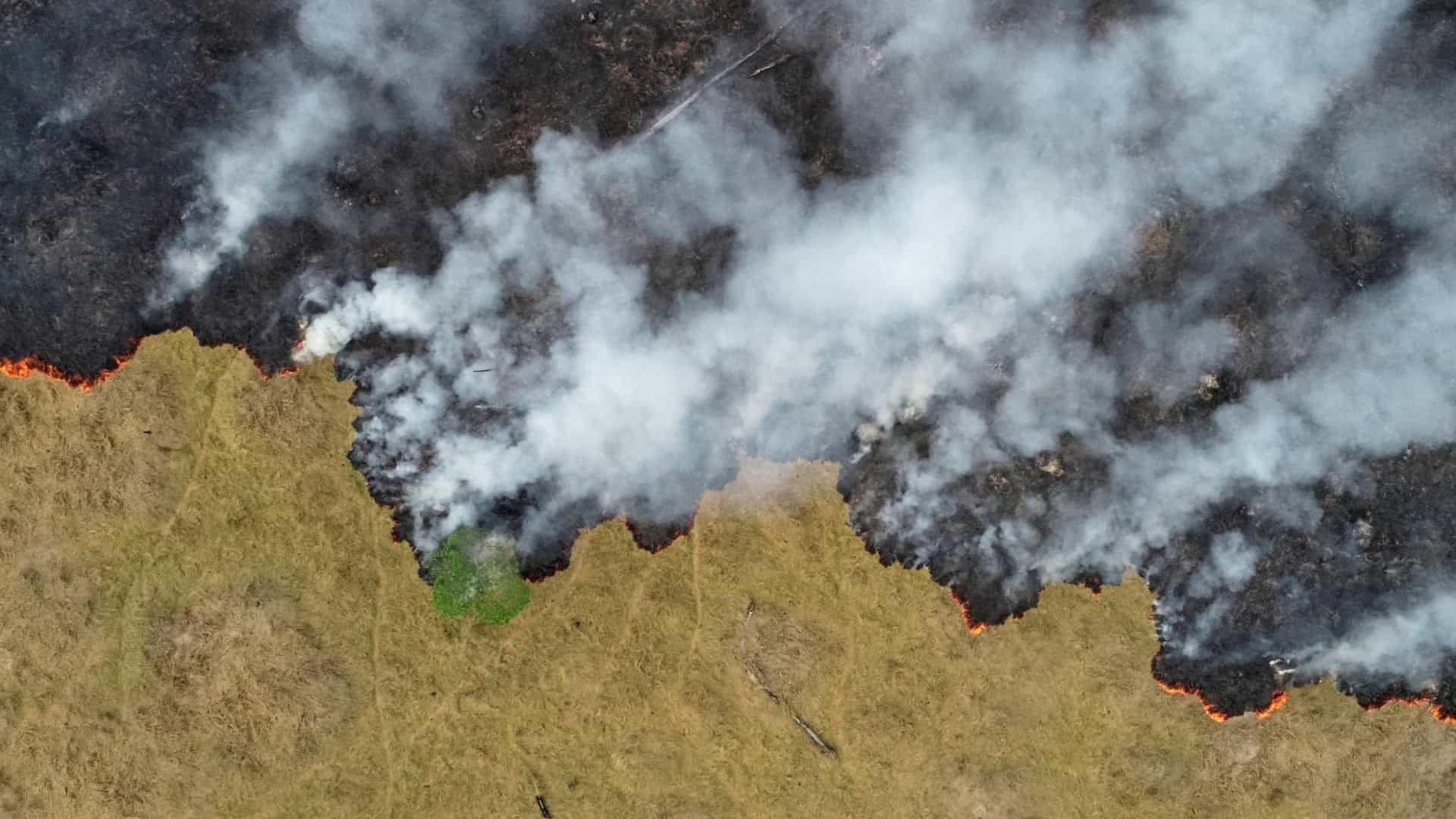 Fogo na Austrália e na Amazônia tem causas diferentes