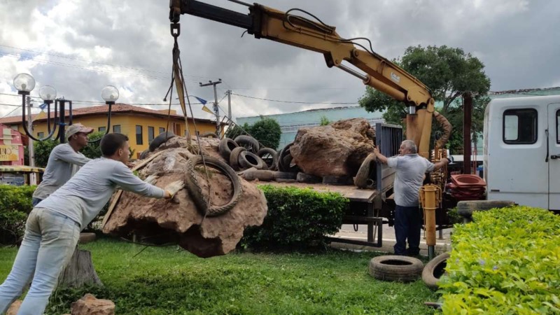 Pesquisadores da Urca resgatam maior tronco fóssil já encontrado na Bacia do Araripe
