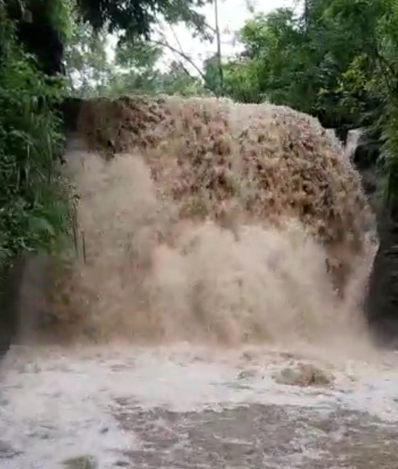 Chuvas transformam paisagem natural no Cariri