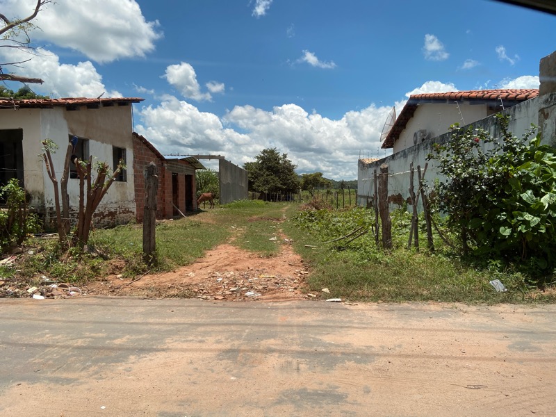 Zé Adega é notificado sobre criatório ilegal de bovinos no Crato
