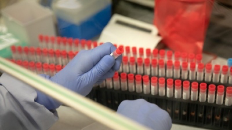 Coronavírus: Sete países europeus iniciam testes de remédios com 3.200 pacientes