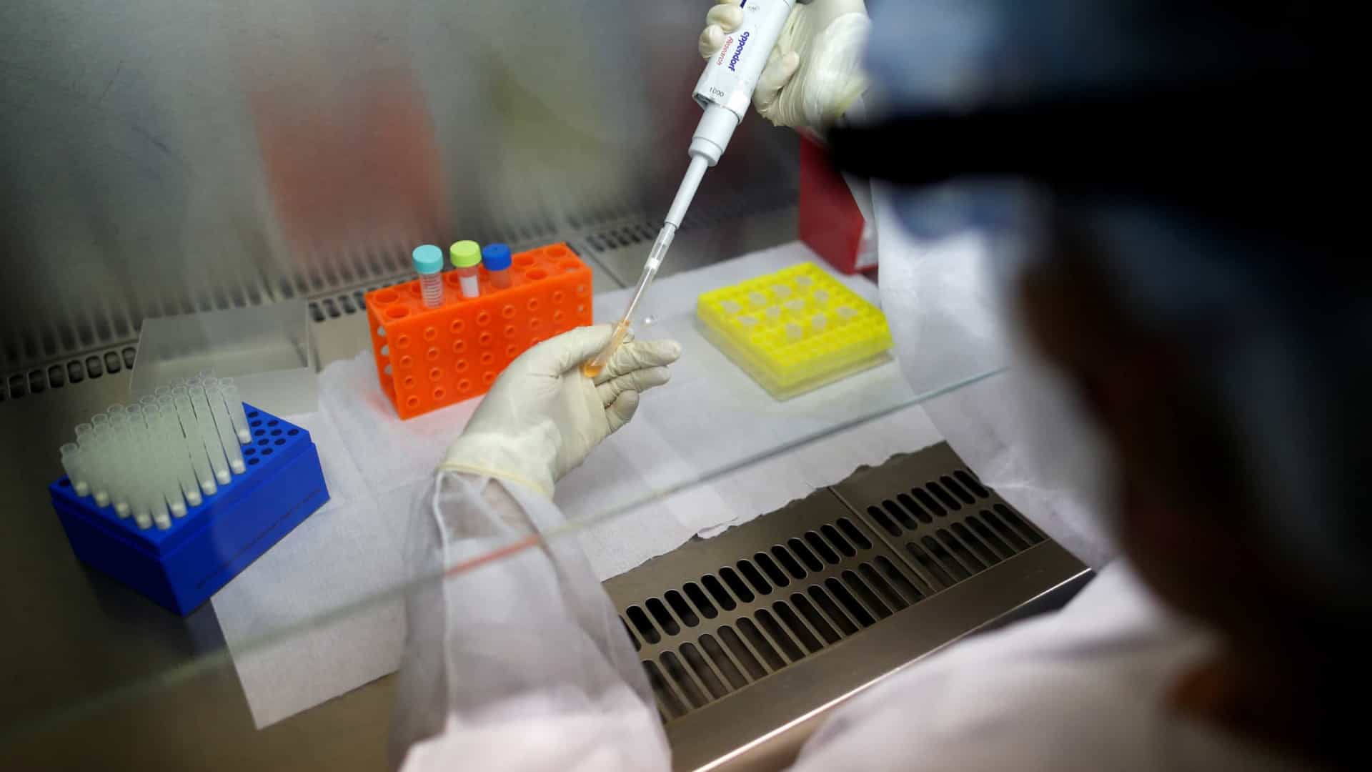 Infectologistas se dizem preocupados com discurso de Bolsonaro