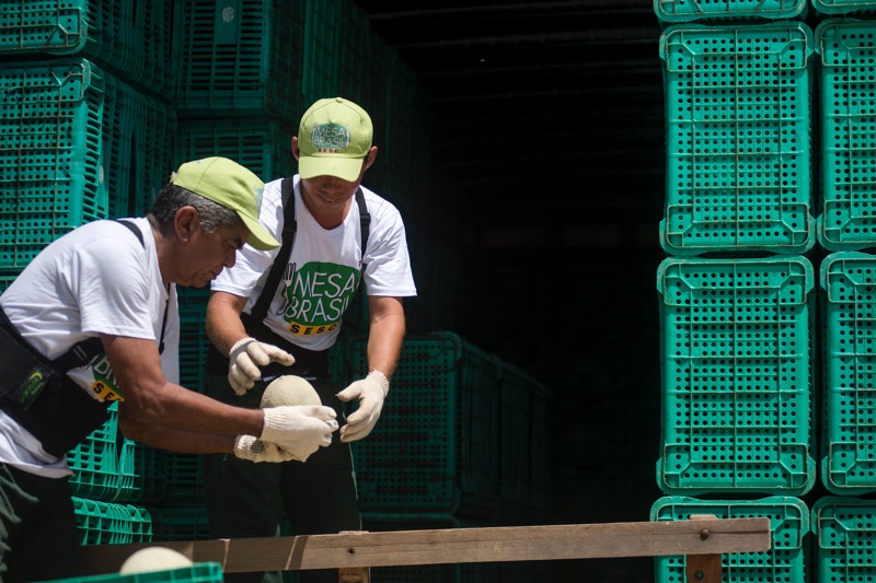 Mesa Brasil Sesc arrecada mais de 100 toneladas de alimentos em pouco mais de duas semanas