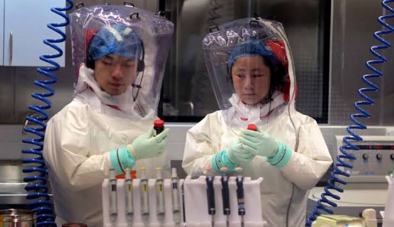 Será que A COVID-19 foi feito em laboratório chinês?