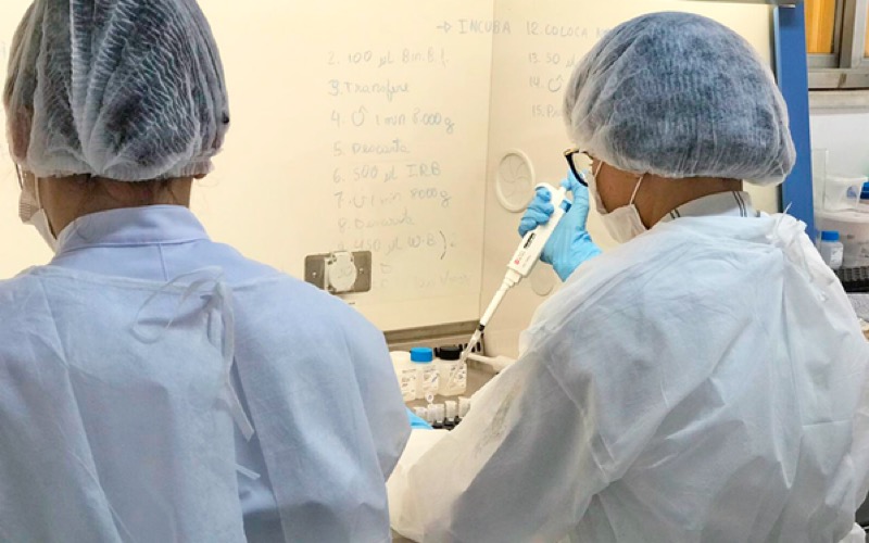 Hemoce passa a realizar diagnóstico laboratorial da Covid-19
