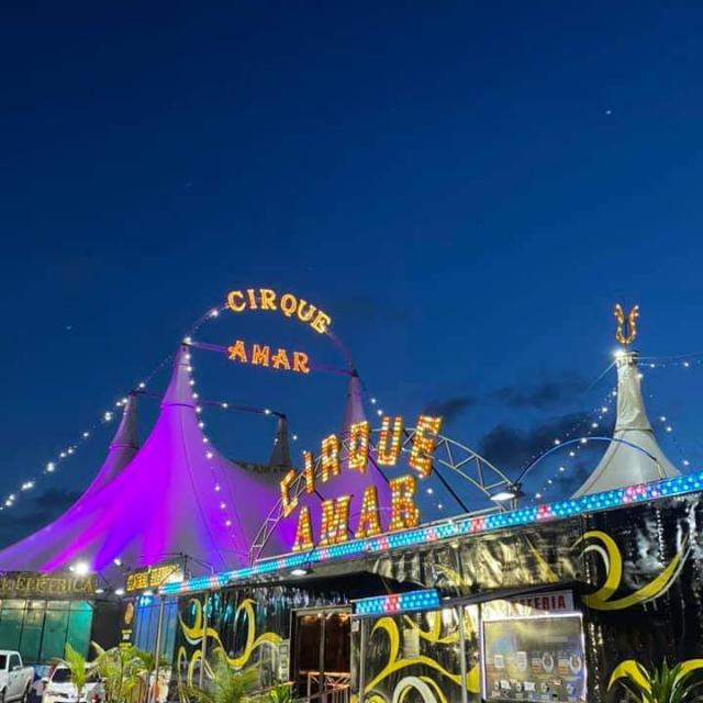 Circo fará live beneficente neste domingo (24)