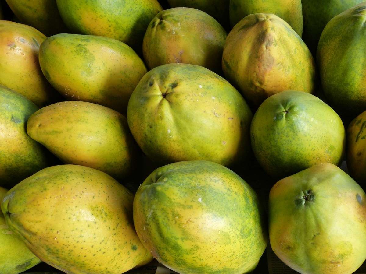 Mamão, uva, tomate e batata são destaques do mercado agrícola