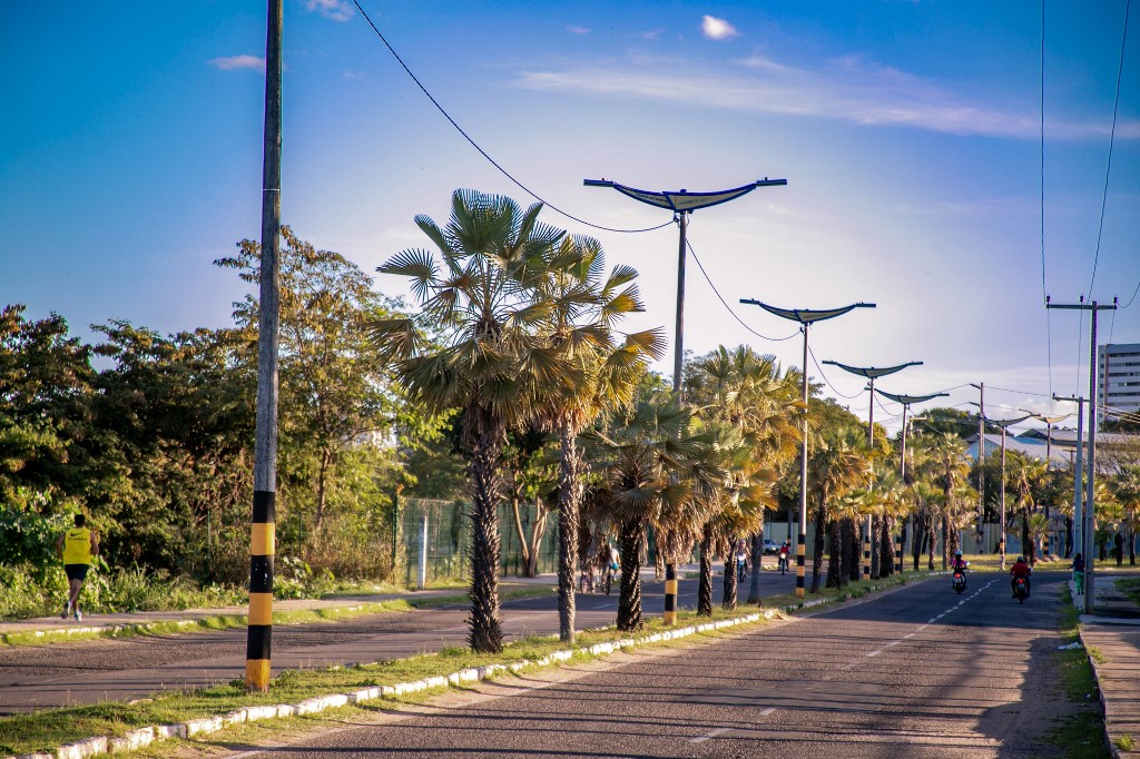 Trabalho de arborização em Juazeiro do Norte apresenta resultados positivos