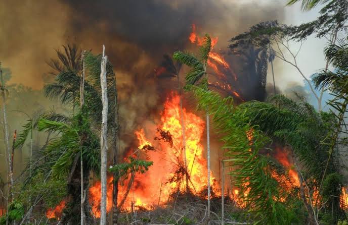 Órgão ambiental do Município do Crato alerta para ocorrência de incêndios criminosos