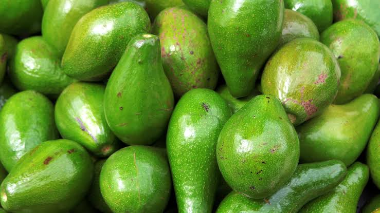Abacate, abacaxi e banana prata em oferta na Ceasa Cariri